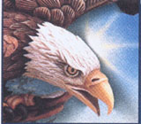 eaglelogo